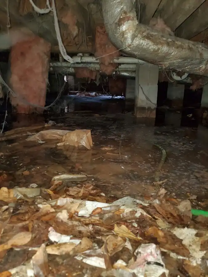 Crawl space flood assessment for Leak Detection & Repair in Chester